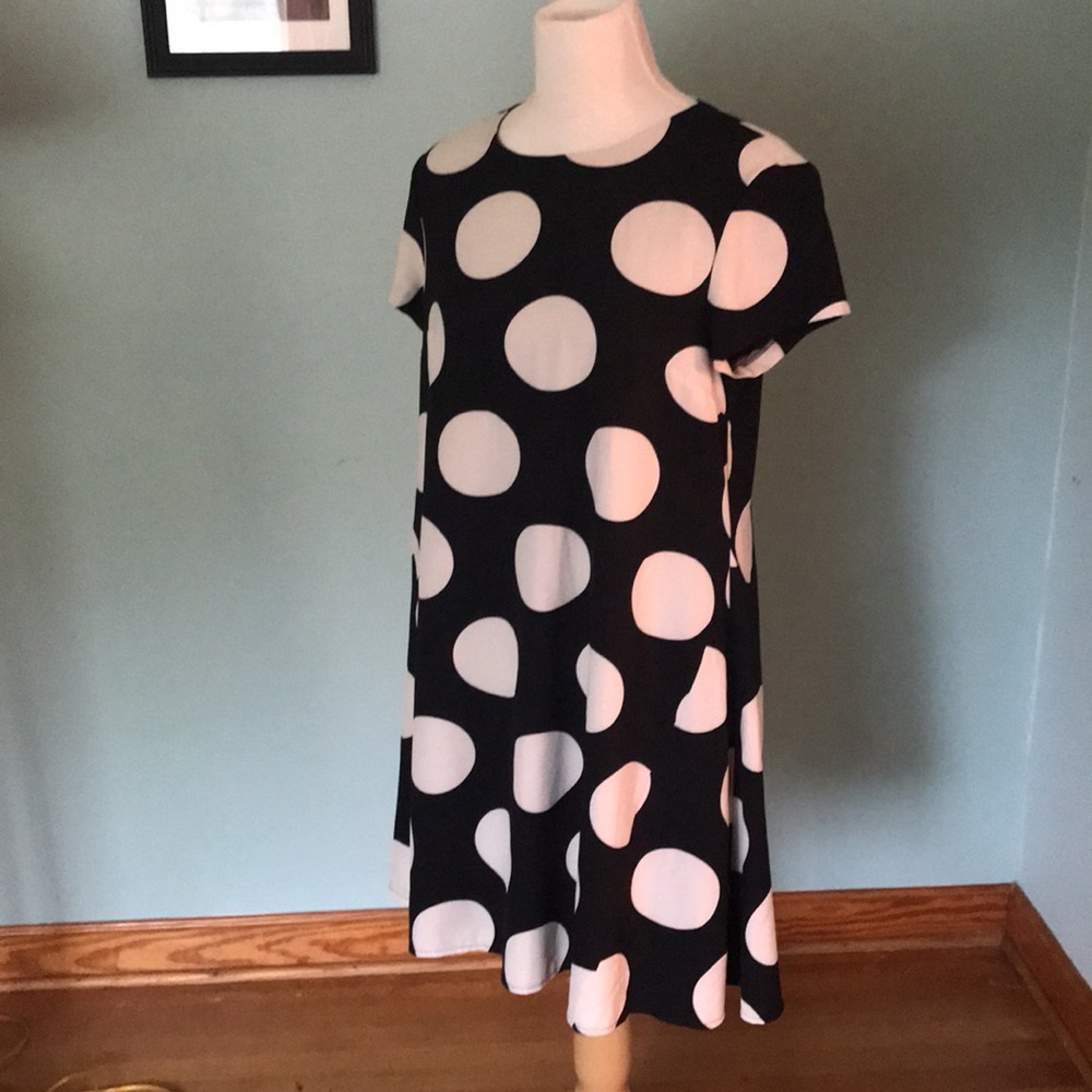Donna Morgan polka dot dress, size 10 - Picture 2 of 7